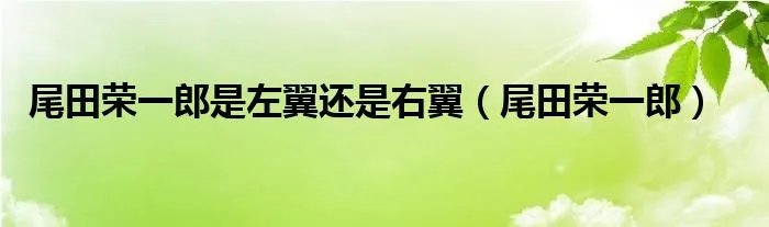 尾田荣一郎是左翼还是右翼（尾田荣一郎）