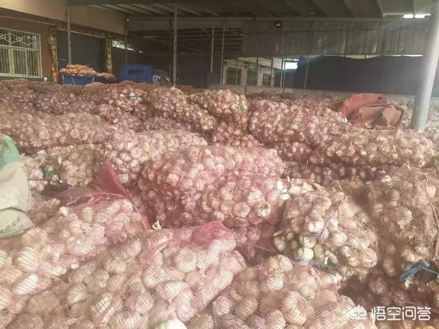 2018年的大蒜到底是会涨价还是会掉价?