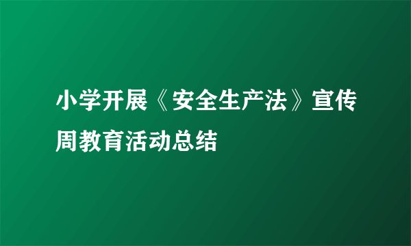 小学开展《安全生产法》宣传周教育活动总结