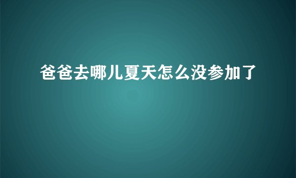 爸爸去哪儿夏天怎么没参加了