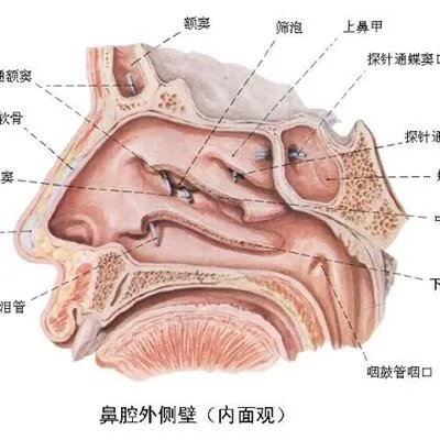 治疗过敏性鼻炎哪里最好