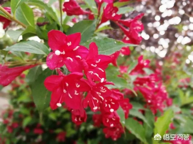 生活常识浅