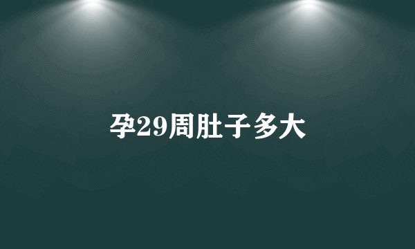 孕29周肚子多大