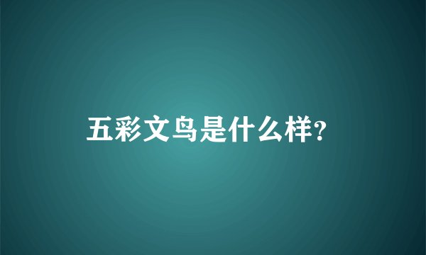 五彩文鸟是什么样？