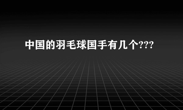 中国的羽毛球国手有几个???