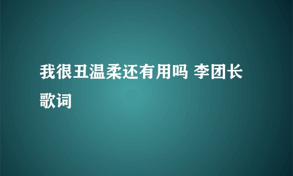 我很丑温柔还有用吗 李团长歌词