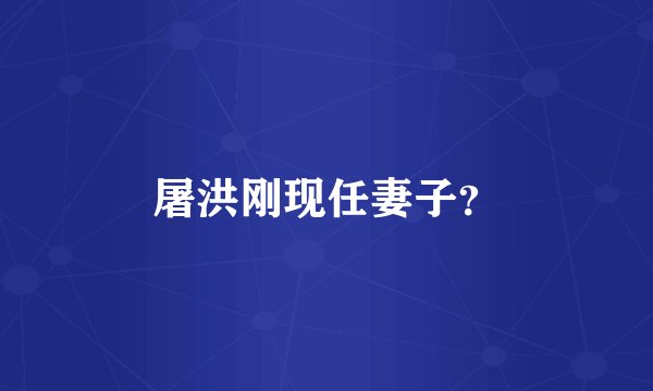 屠洪刚现任妻子？