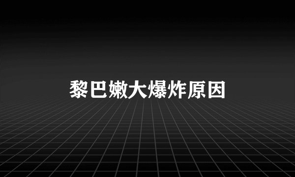 黎巴嫩大爆炸原因