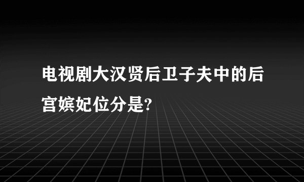 电视剧大汉贤后卫子夫中的后宫嫔妃位分是?
