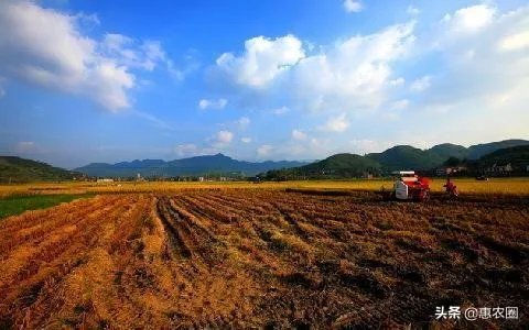 农村耕地出租多少钱一亩?直补归谁?