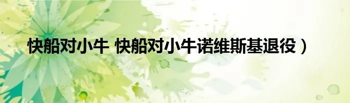 快船对小牛 快船对小牛诺维斯基退役）
