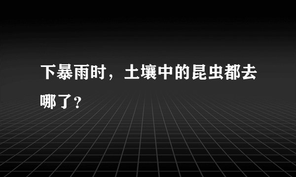 下暴雨时,土壤中的昆虫都去哪了?