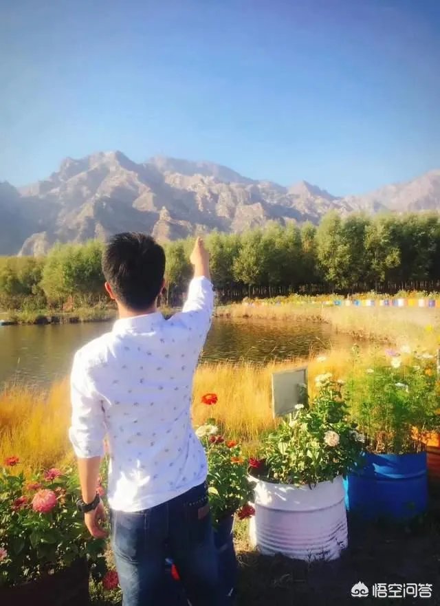 如何识别出甲醛白菜?