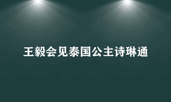 王毅会见泰国公主诗琳通