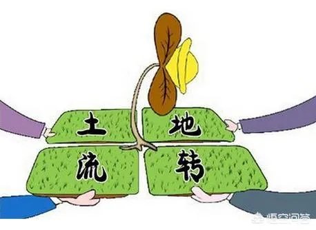 农村耕地出租多少钱一亩?直补归谁?