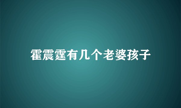 霍震霆有几个老婆孩子