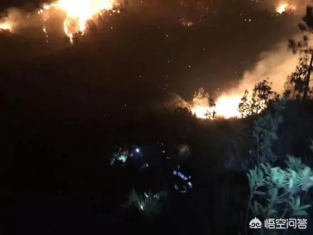 珠海凤凰山景区环境怎么样?值得一游吗?