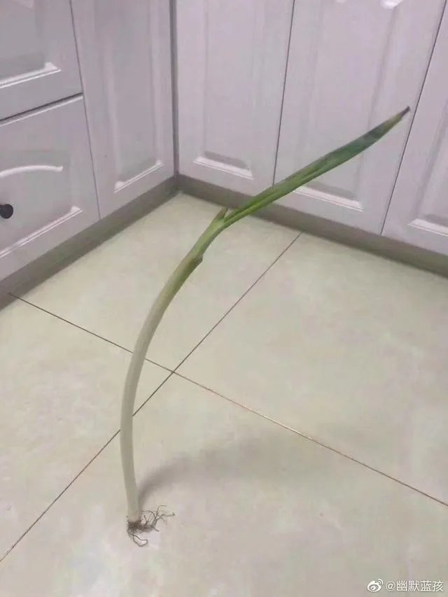 昨天“立扫把”,今天倒立上厕所?沙雕网友的脑洞有多大!