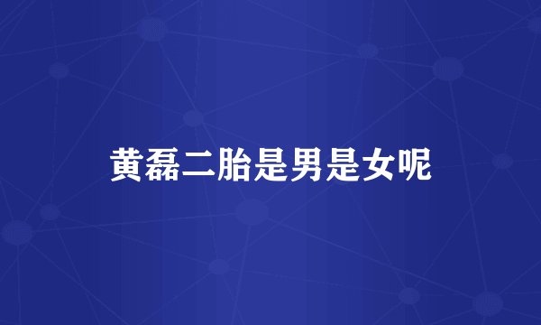 黄磊二胎是男是女呢