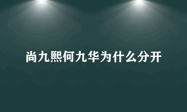 尚九熙何九华为什么分开