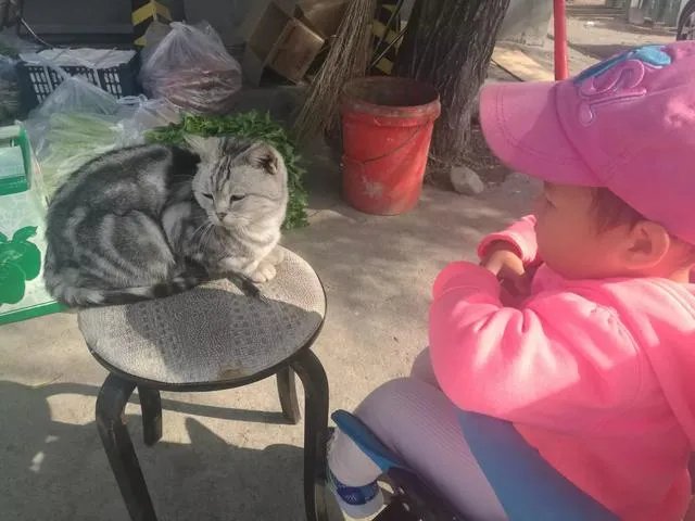 前央视名嘴郎永淳因醉驾被拘,你怎么看?