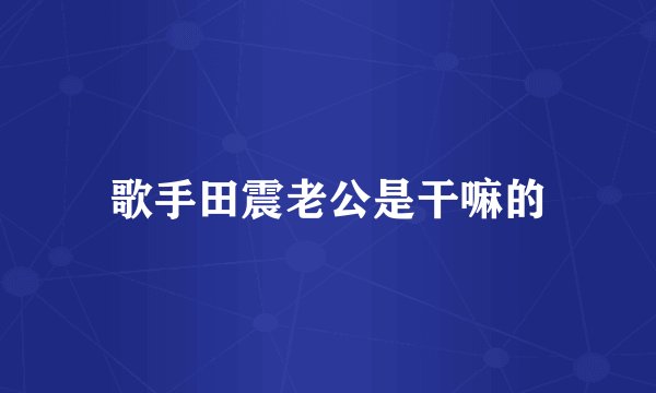 歌手田震老公是干嘛的