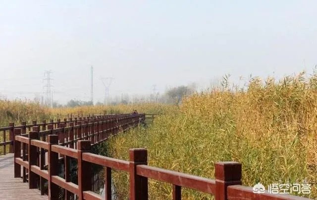 河北胜芳都有哪些景点?胜芳古镇好不好玩?