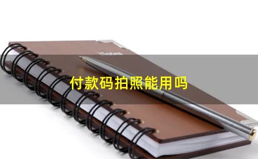 付款码拍照能用吗