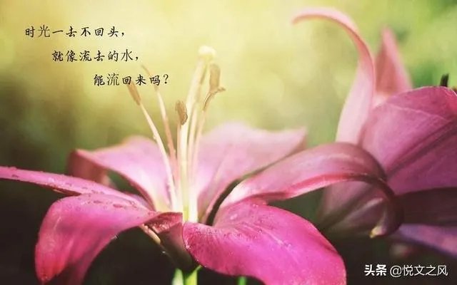 父母,夫妻,儿女,你能说出那一层关糸更亲,为什么?