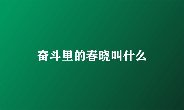 奋斗里的春晓叫什么