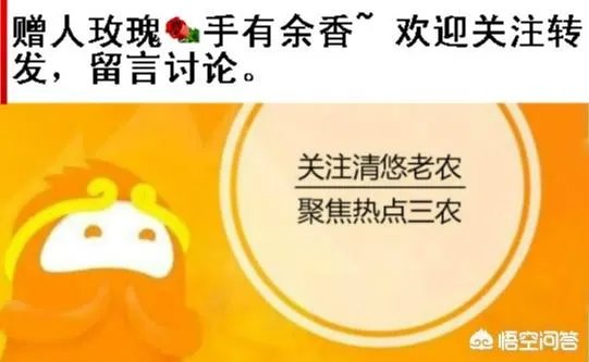 艾草是野生的好还是种植的好？
