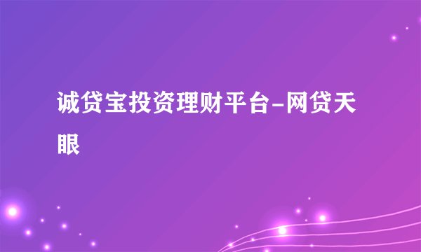 诚贷宝投资理财平台-网贷天眼