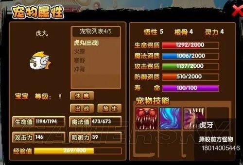 《造梦西游》高手分享3极品虎丸养成攻略