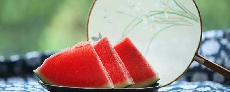 小暑节气的特点