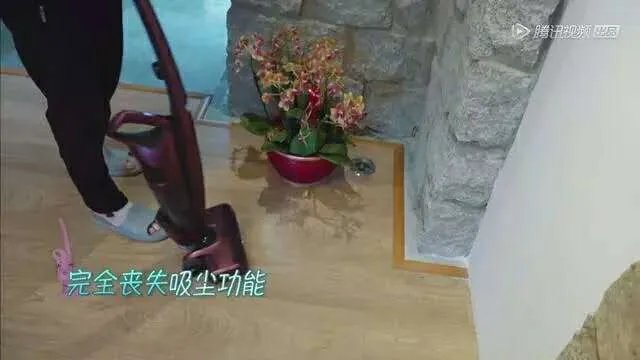 结婚十几年也可以很浪,日常互怼相处,蒋勤勤和陈建斌相处的是什么模式?