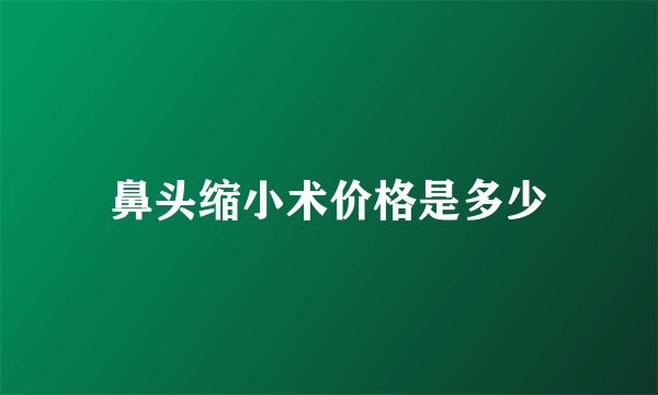 鼻头缩小术价格是多少