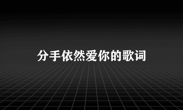分手依然爱你的歌词