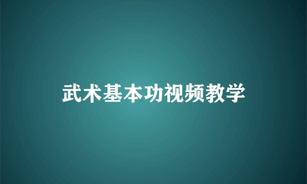 武术基本功视频教学