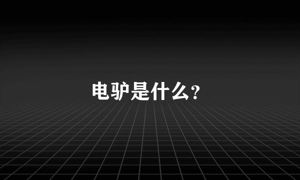 电驴是什么？