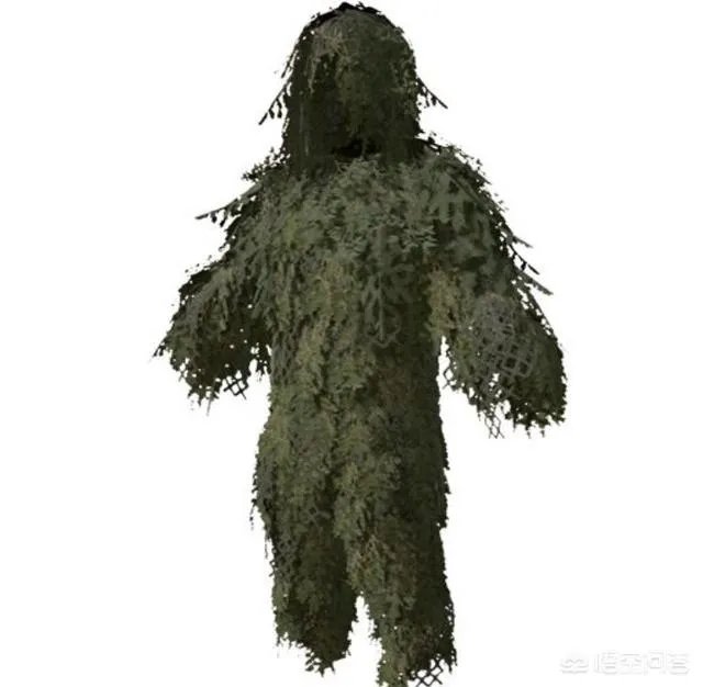 动物中,有没有我们从没见过的伪装术?