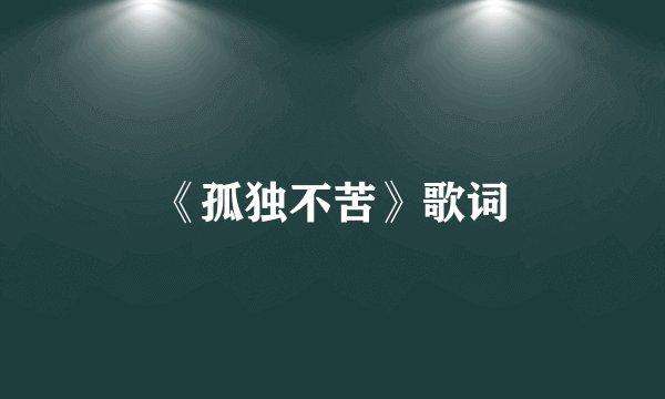 《孤独不苦》歌词