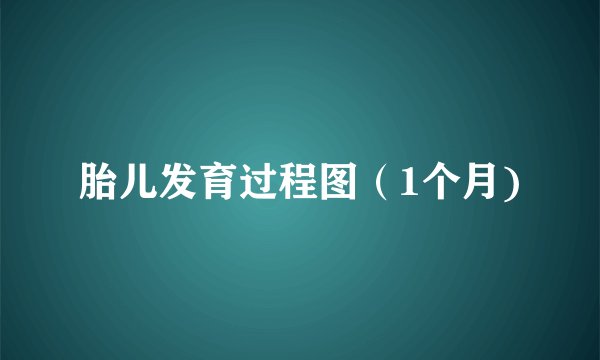 胎儿发育过程图（1个月)