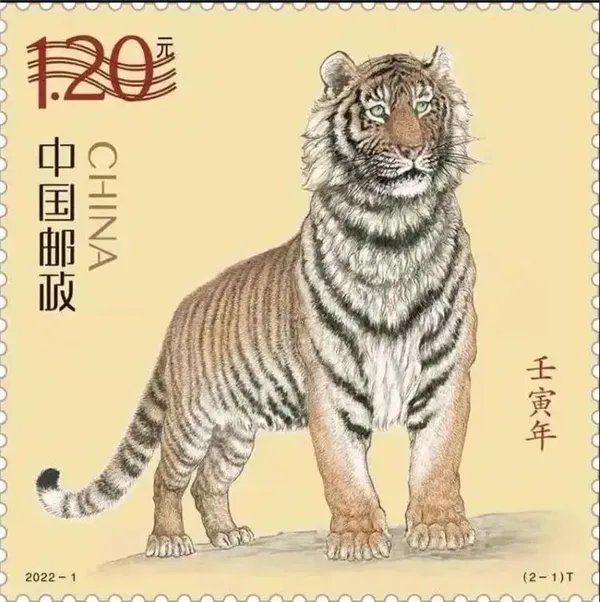 新版虎年邮票正式发行 网友质疑：一脸呆傻毫无虎威