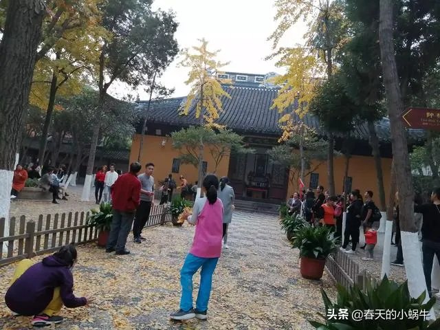 旅游是夫妻二人玩的舒服?还是多个朋友一起旅游更加有趣?