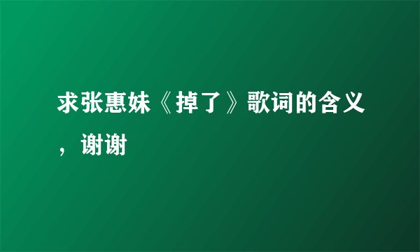 求张惠妹《掉了》歌词的含义，谢谢