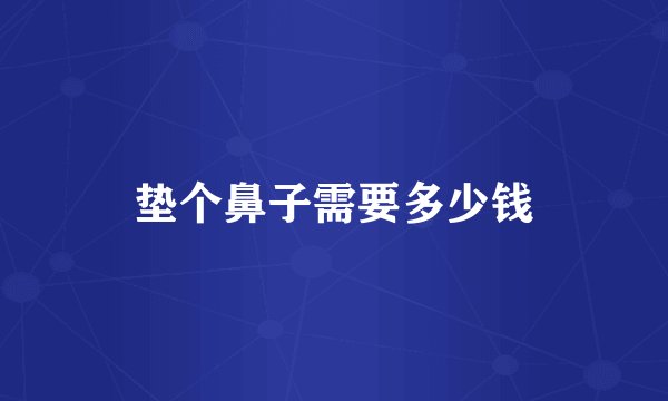 垫个鼻子需要多少钱