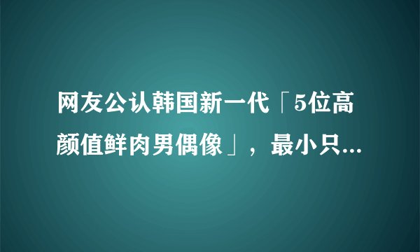 网友公认韩国新一代「5位高颜值鲜肉男偶像」，最小只有17岁