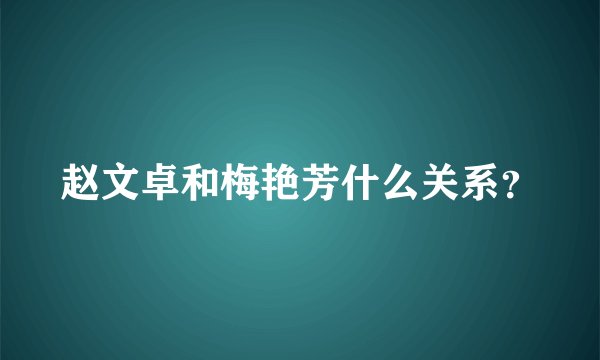 赵文卓和梅艳芳什么关系？