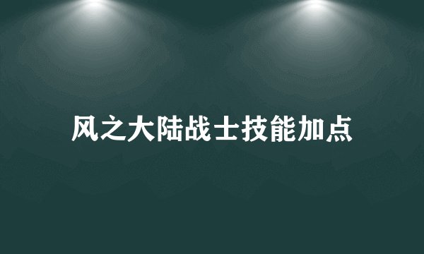 风之大陆战士技能加点