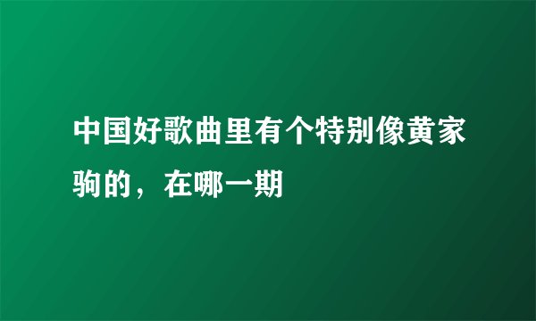 中国好歌曲里有个特别像黄家驹的，在哪一期